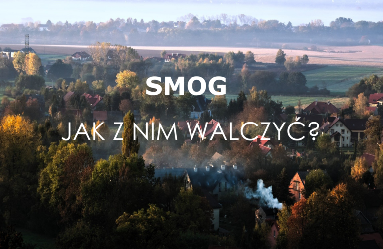 https://www.comfo.pl/2020/11/26/jak-walczyc-ze-smogiem/