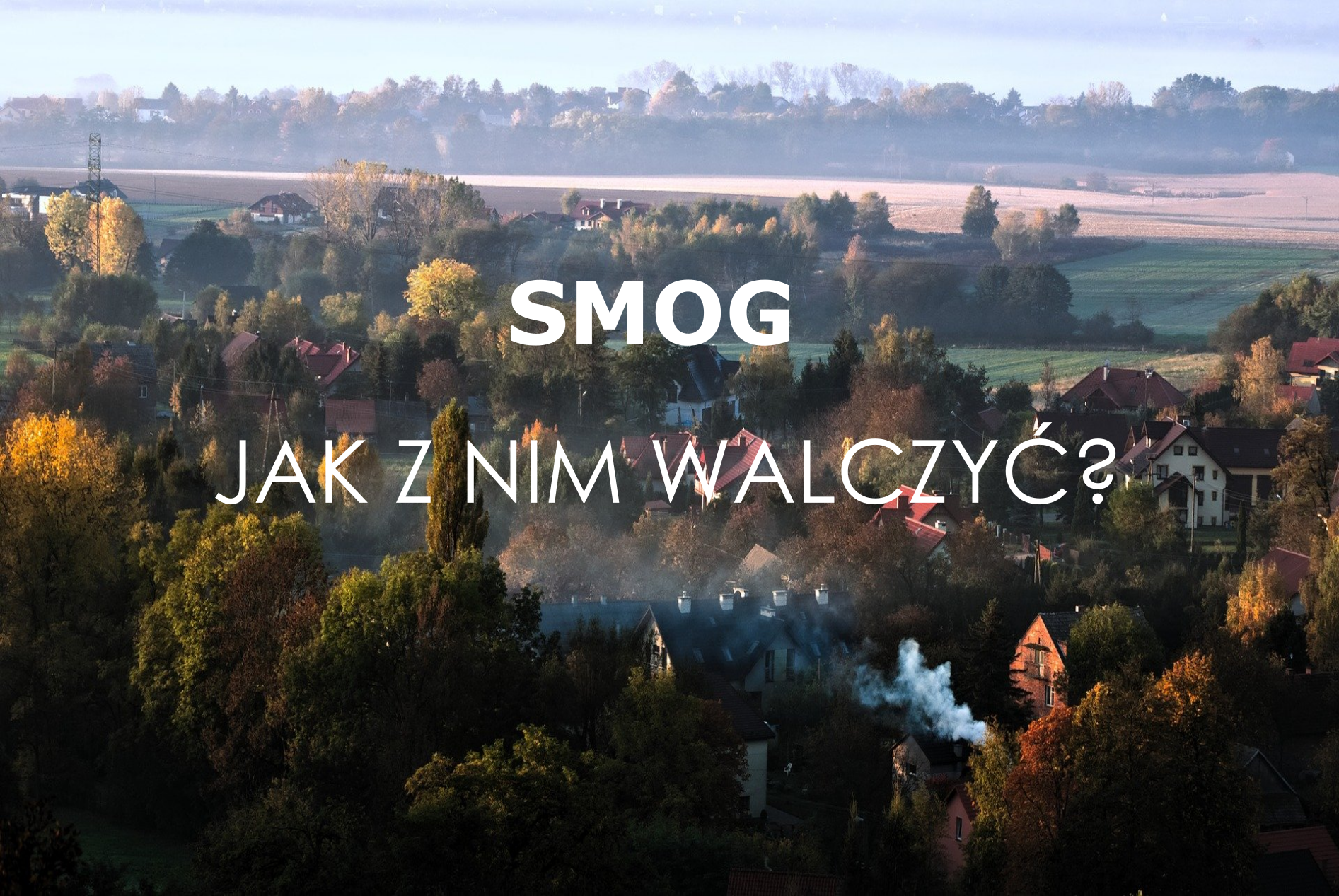 https://www.comfo.pl/2020/11/26/jak-walczyc-ze-smogiem/